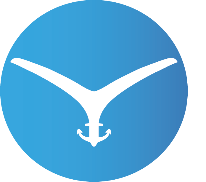 Y-Liman Official logo